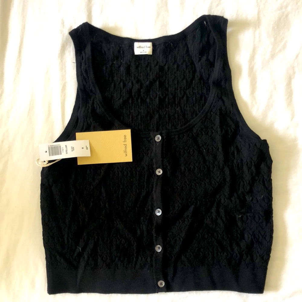 Wilfred Free Stellar Crop